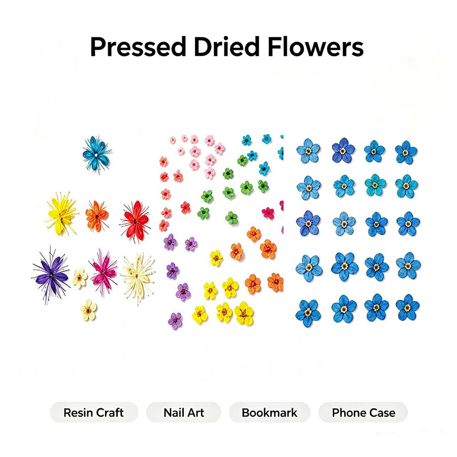 60 buah Bunga Kering Mini yang - Resin Craft Ideas ulasan dan harga