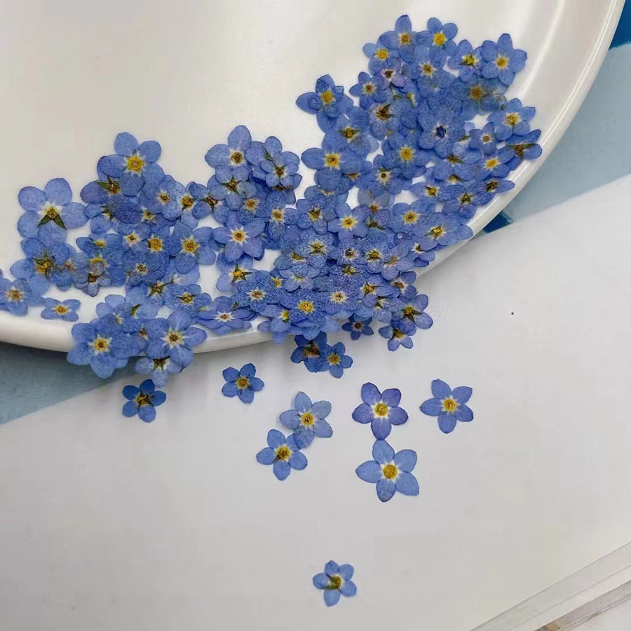 60 buah Bunga Kering Mini yang - Resin Craft Ideas ulasan dan harga